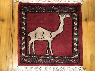 Rug Picture