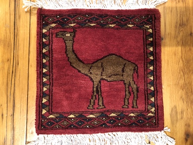 Rug Picture