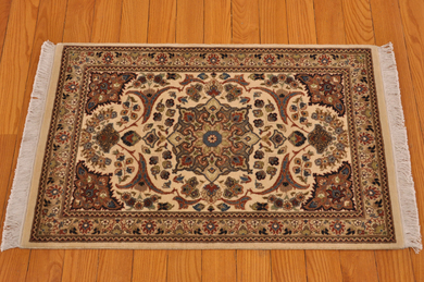 Rug Picture