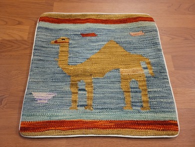 Rug Picture