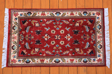 Rug Picture