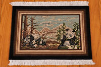 Rug Picture