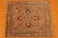 Rug Picture