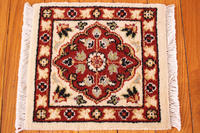 Rug Picture