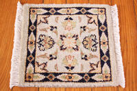 Rug Picture