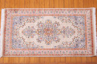 Rug Picture