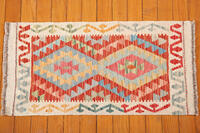 Rug Picture