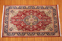Rug Picture