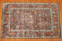 Rug Picture