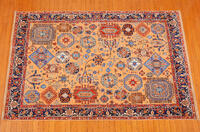 Rug Picture