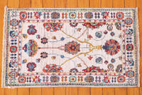 Rug Picture