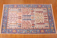 Rug Picture