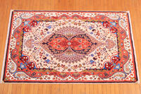 Rug Picture