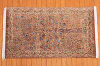 Rug Picture