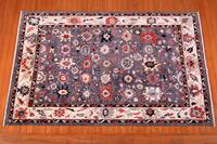 Rug Picture